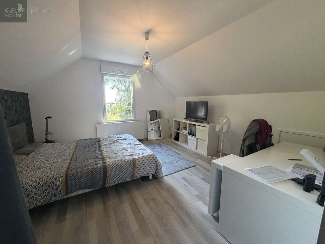 Maison T5 Rieupeyroux 3000m2 de terrain - photo 5