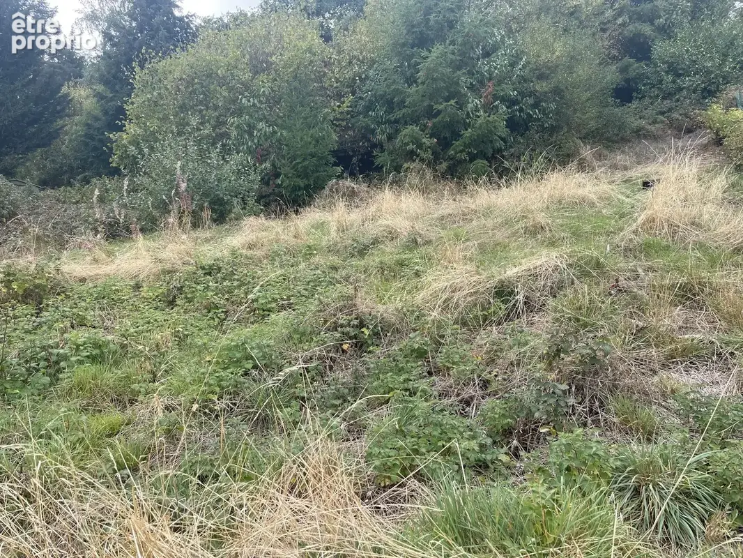 Terrain constructible au calme - photo 8