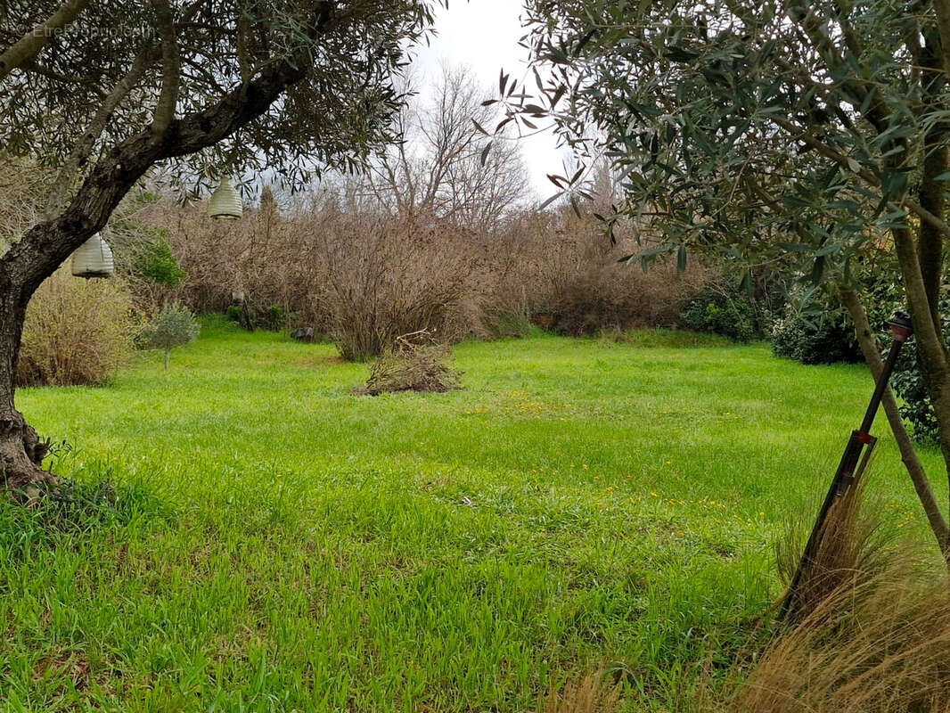 Terrain à VILLECROZE