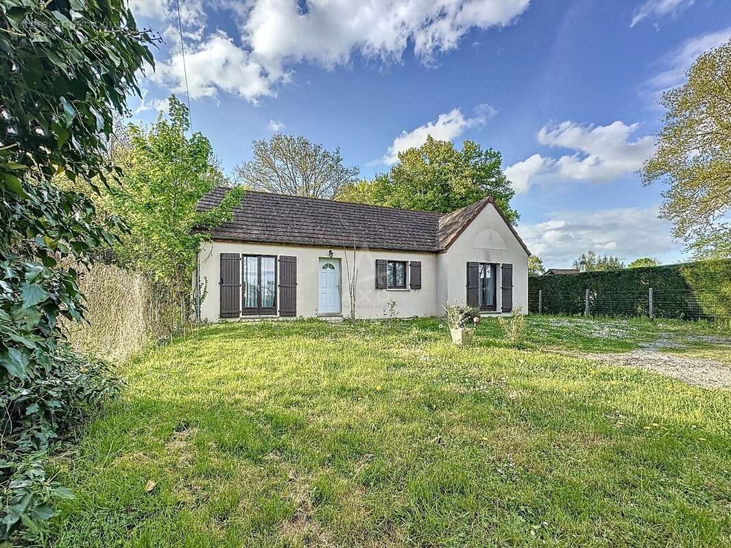 Maison à OUZOUER-SUR-TREZEE