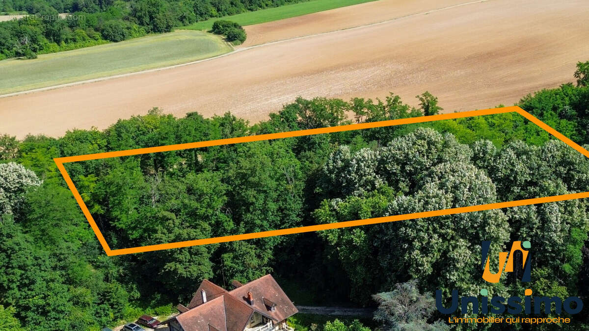 Terrain 2908 m² à L'isle-Sur-Le-Doubs  - photo 6