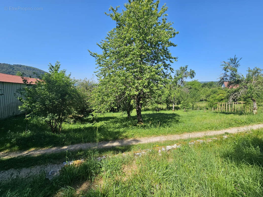 Maison de campagne en pierre avec hangar et terrain de 3500 m2 - photo 15
