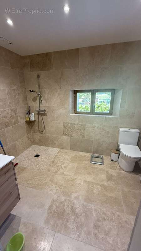 Maison à VILLEDIEU-LE-CHATEAU