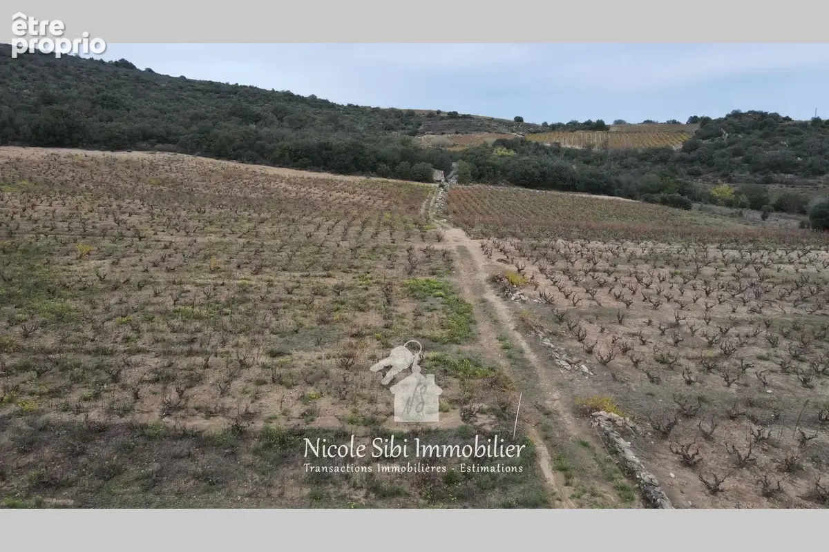 Terrain 29 300 m² à vendre à Lansac (66720) - photo 6