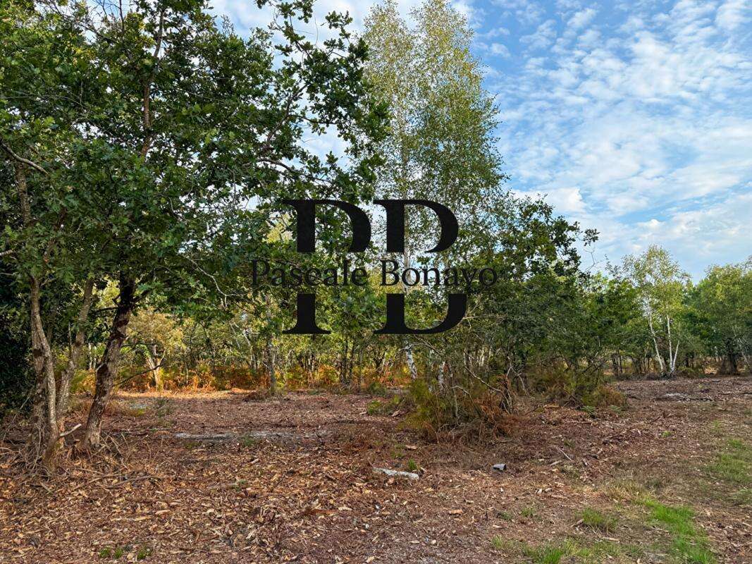 Terrain à VENDAYS-MONTALIVET