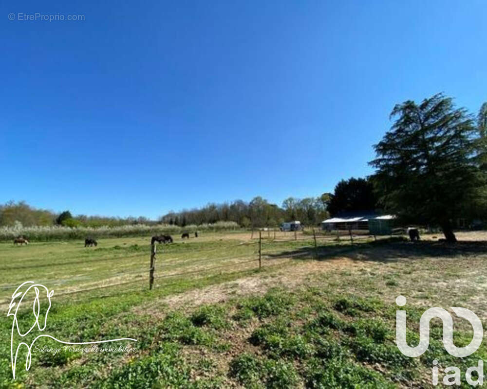 Photo 2 - Maison à VILLEMER