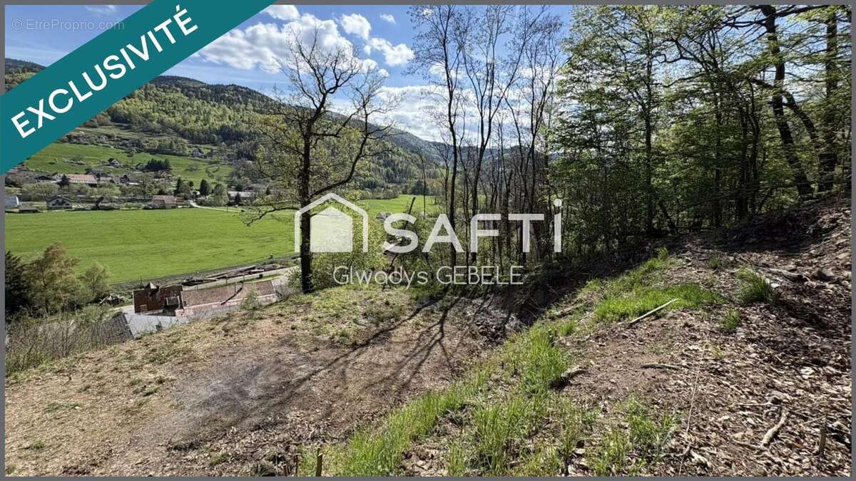 Photo 2 - Terrain à LUTTENBACH-PRES-MUNSTER