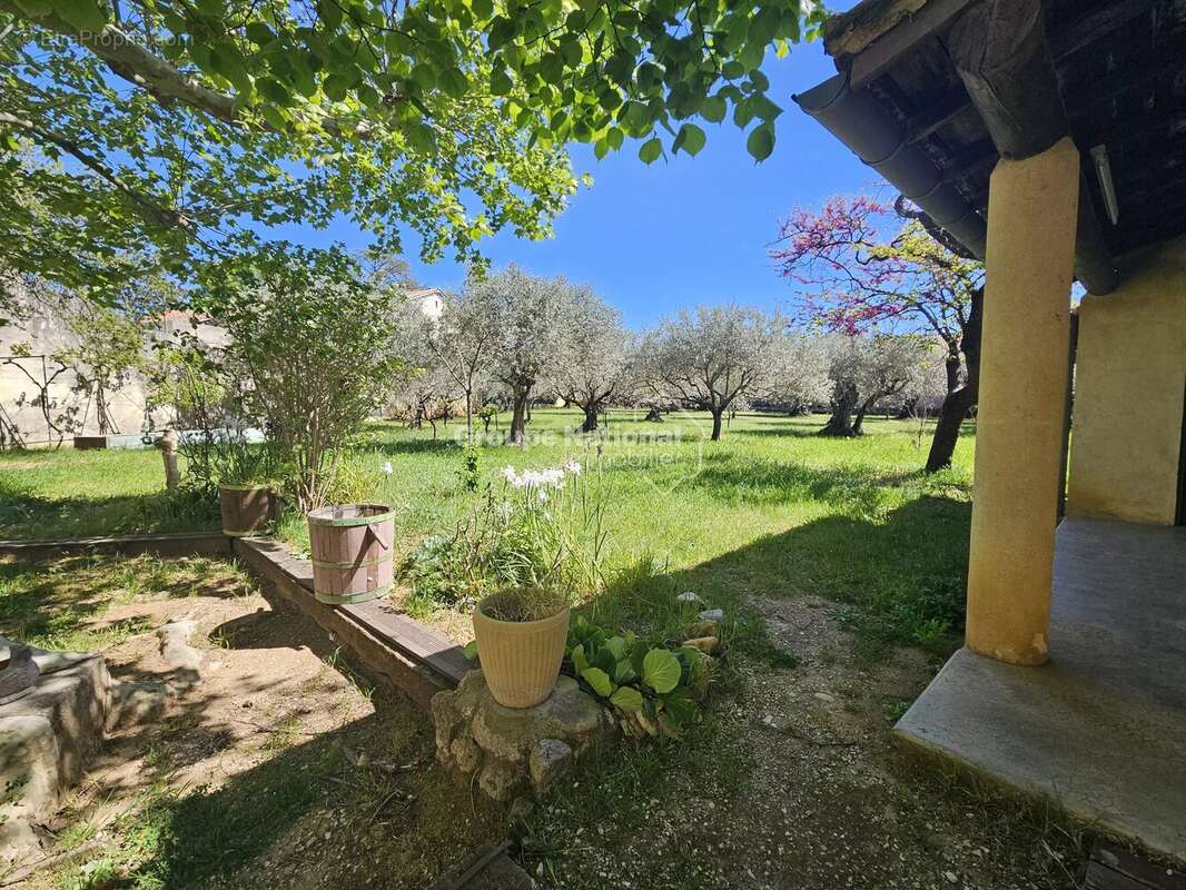 Beaumes de venise mas de caractere sur 2893 m² de terrain - photo 11