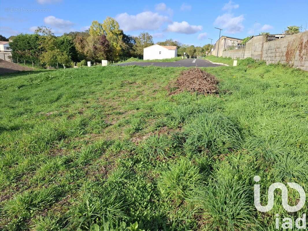 Terrain 1015 m² à La Chapelle-Palluau  - photo 4