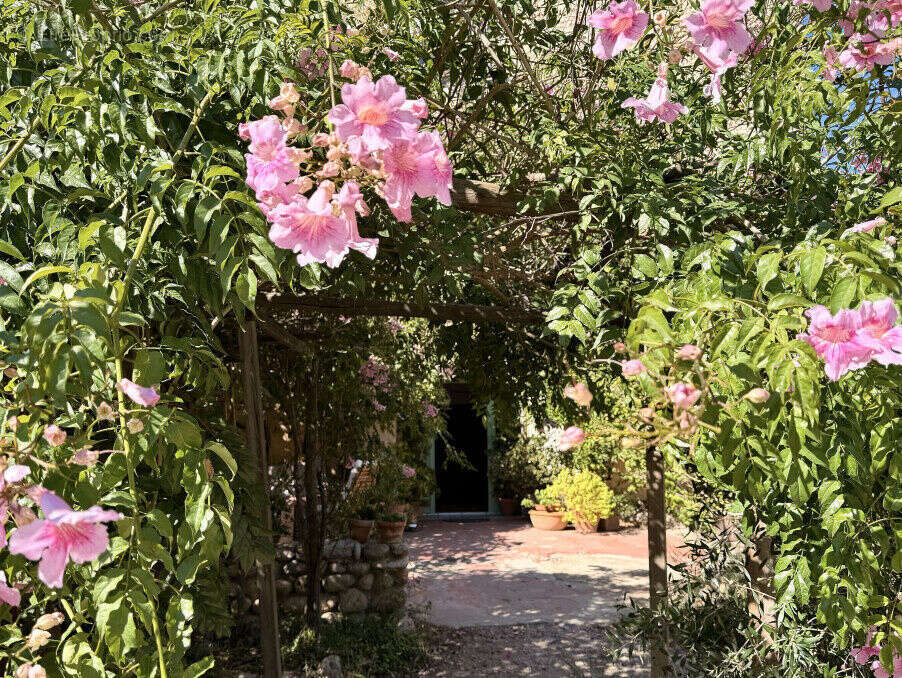 Photo 5 - Maison à LEUCATE