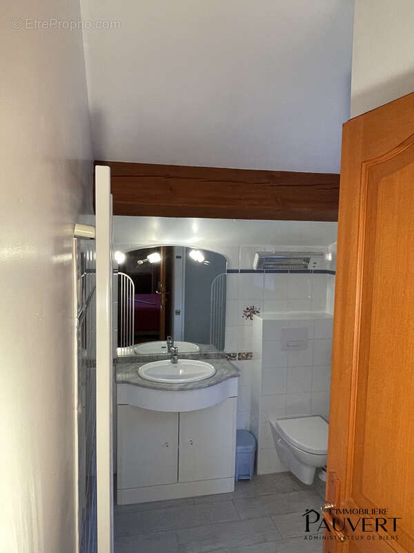 Capoulet et junac  bien rare avec maison de plain pied et t2 meublé - photo 18