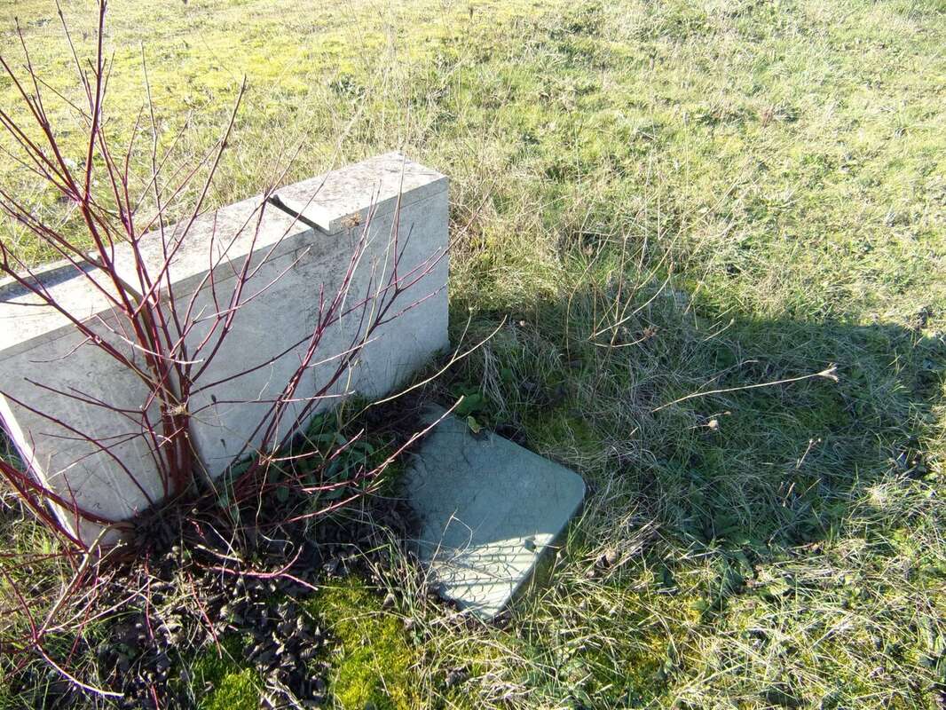 Terrain à COUTURE-D&#039;ARGENSON