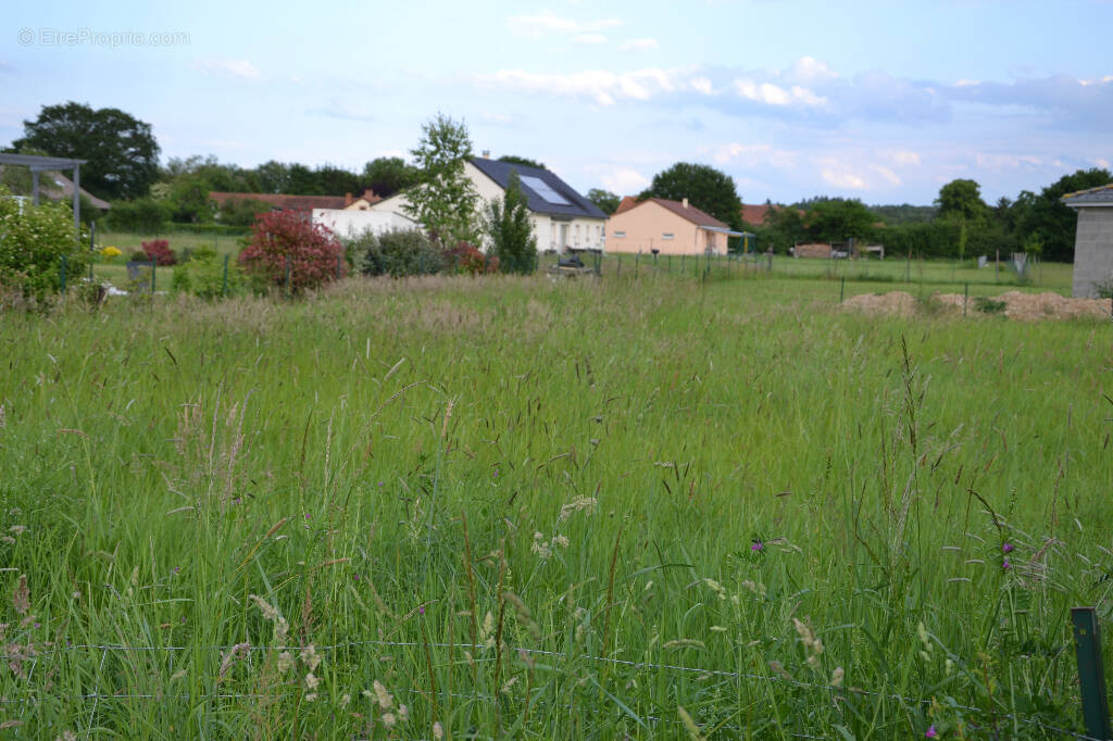 Terrain à LORIGES