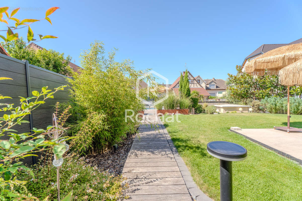 Oberschaeffolsheim   rare t4 rez-de-jardin avec piscine, jardin de 275 m2 et garage double - photo 19