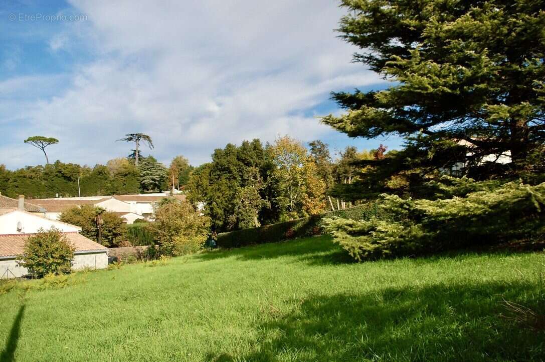 Terrain à MIRAMBEAU