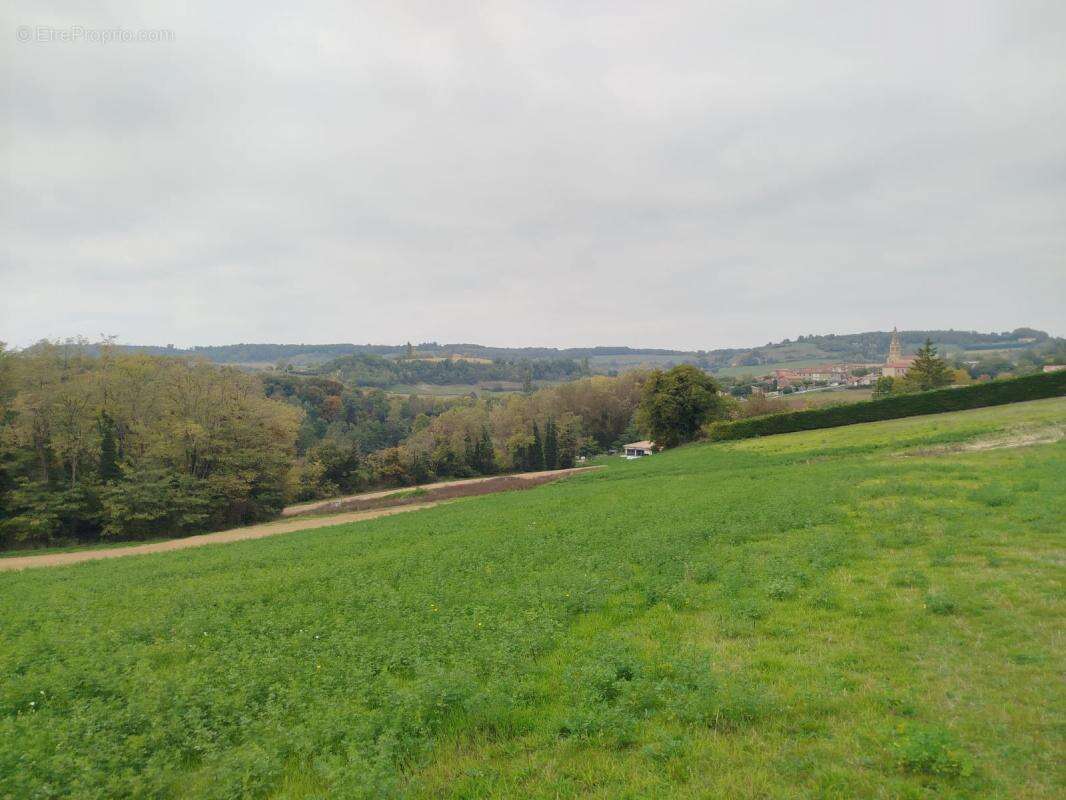 Terrain à MONTCHENU