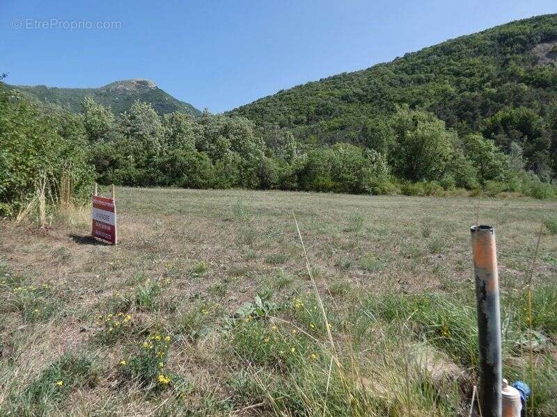 Terrain 3 170 m² à vendre à Le Saix (05400) - photo 3