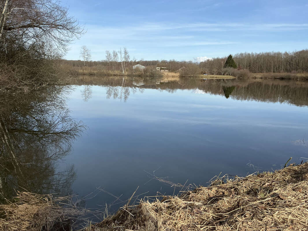 Terrain à MAGNIVRAY