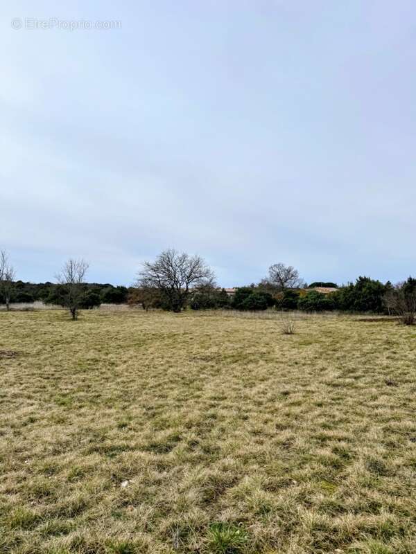 Terrain à SAINT-REMEZE