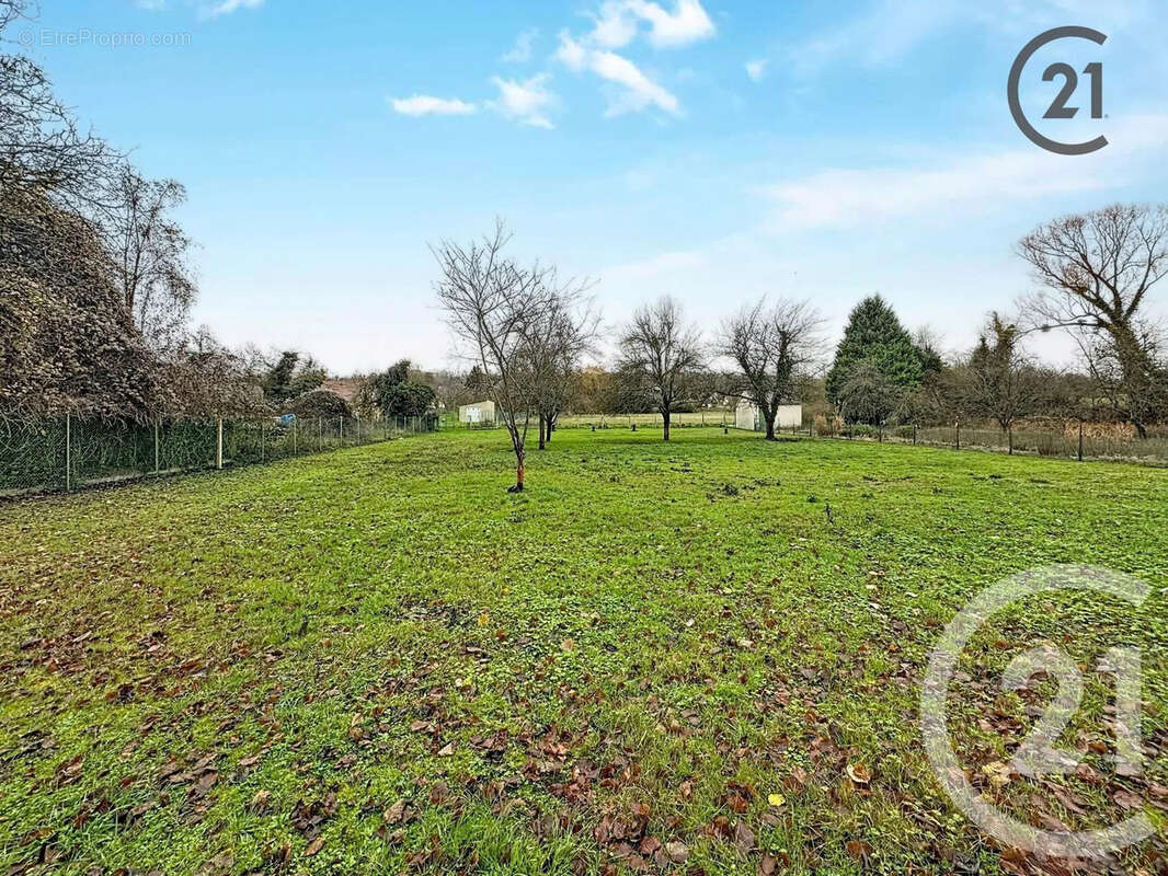 Terrain à BAZOCHES-SUR-VESLES