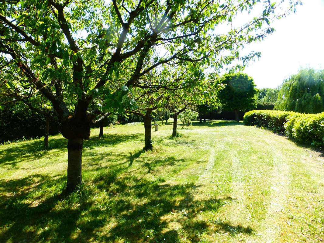 Terrain à HERBEVILLE