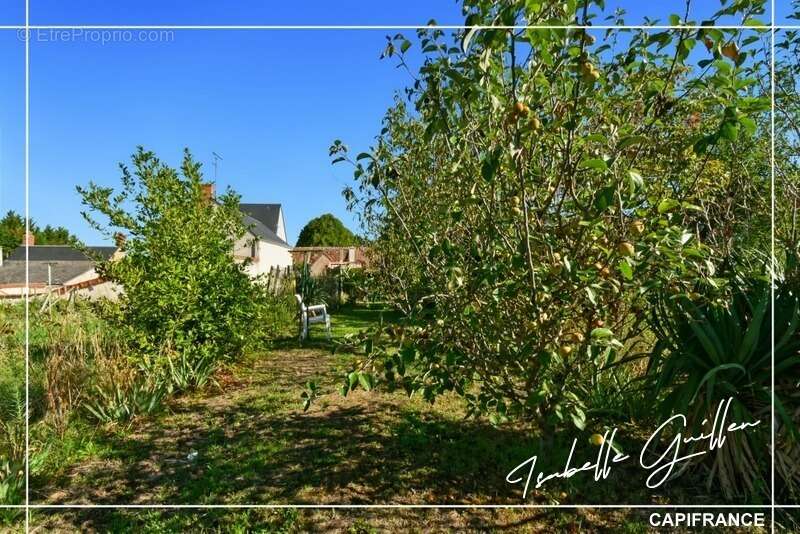 Maison à LE CHATELET