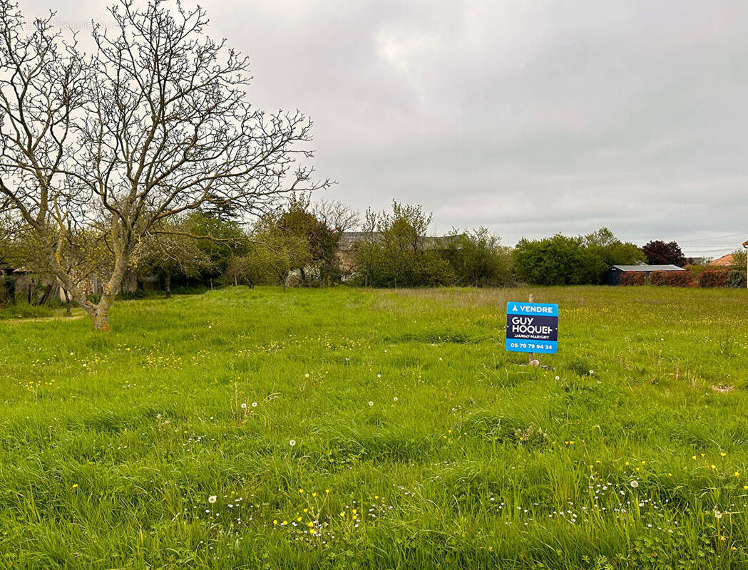 Terrain à SAVIGNY-SOUS-FAYE