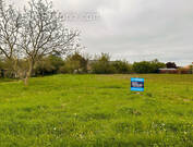 Terrain à SAVIGNY-SOUS-FAYE