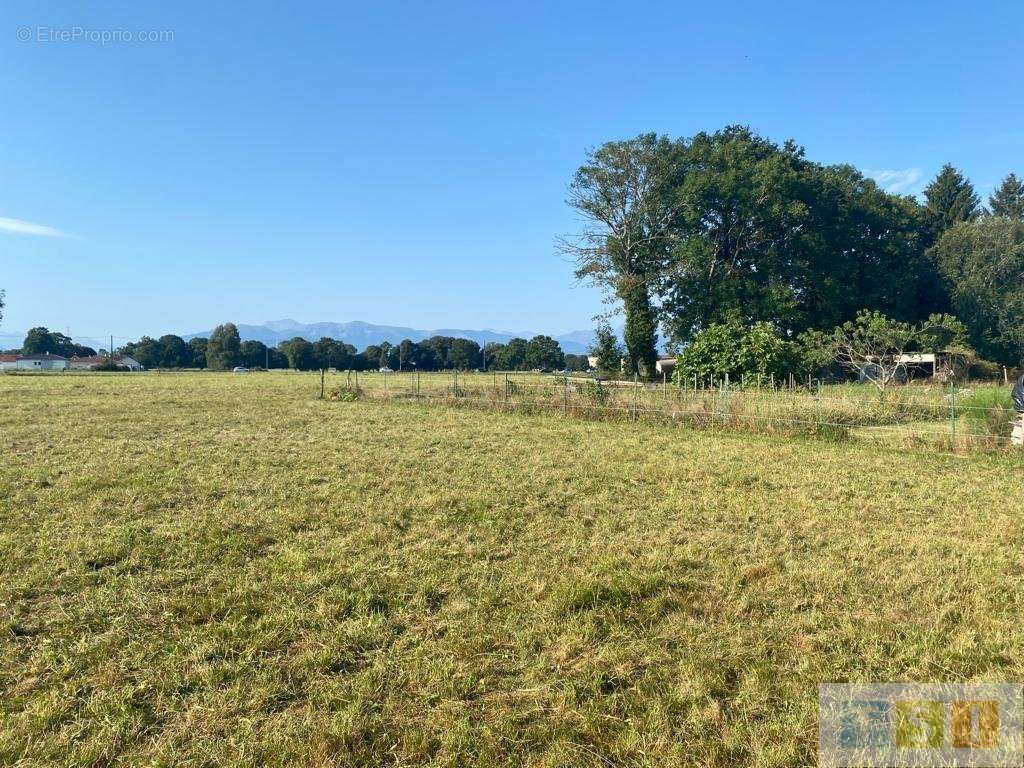 Terrain à LANNEMEZAN