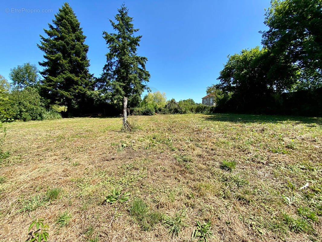 Terrain à AVOINE