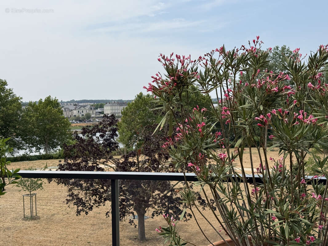 A SAUMUR appartement avec vue sur Loire - photo 19