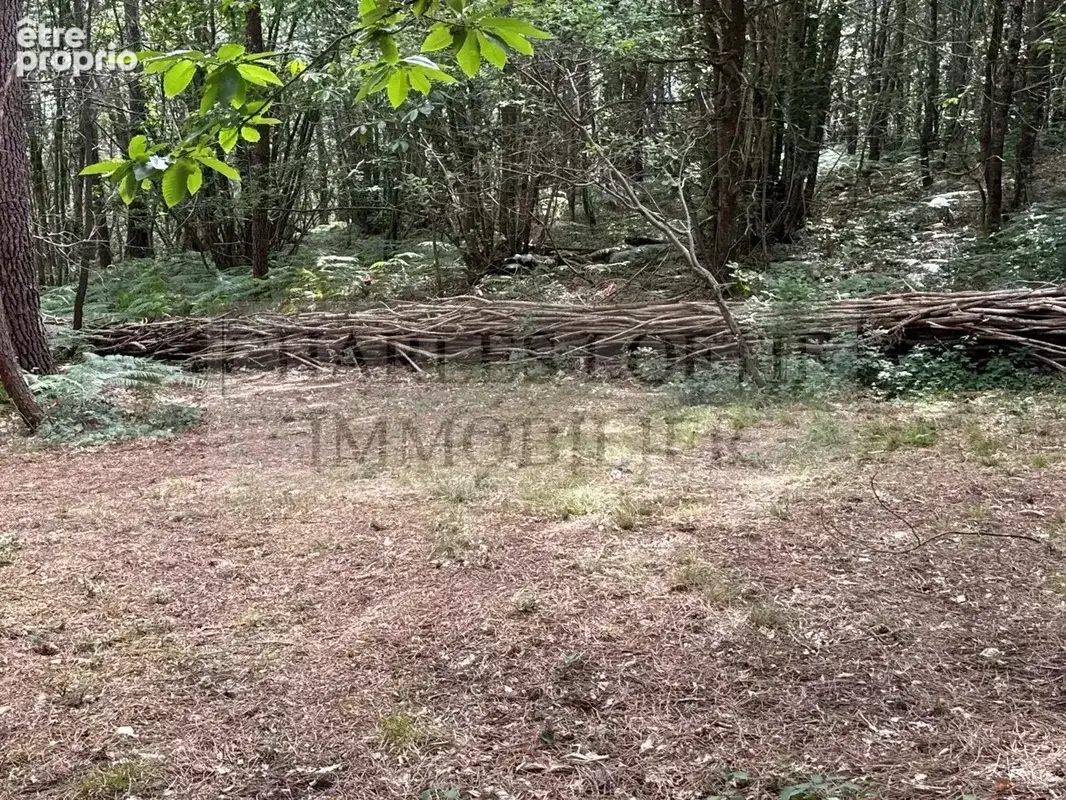 Une propriété de caractère au cœur de 20ha en Périgord Noir - photo 35