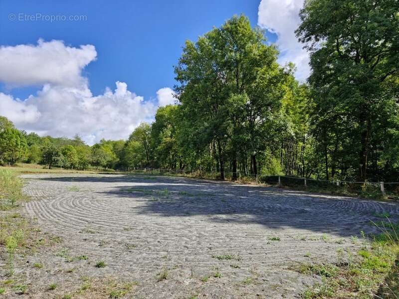  Rare à la vente – Propriété équestre en pierres  14 hectares de terrain - photo 2