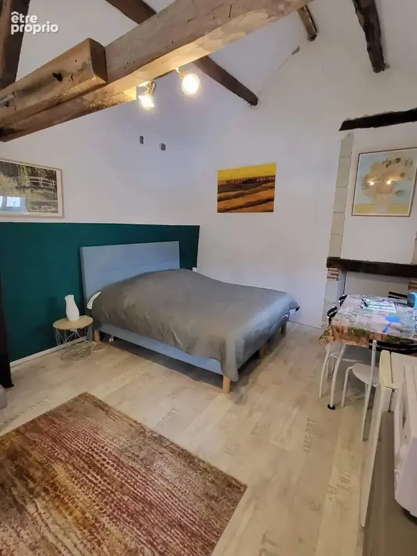 Prix réduit! A vendre Chambres d'hôtes à Tournon-Saint-Martin (36) - photo 27