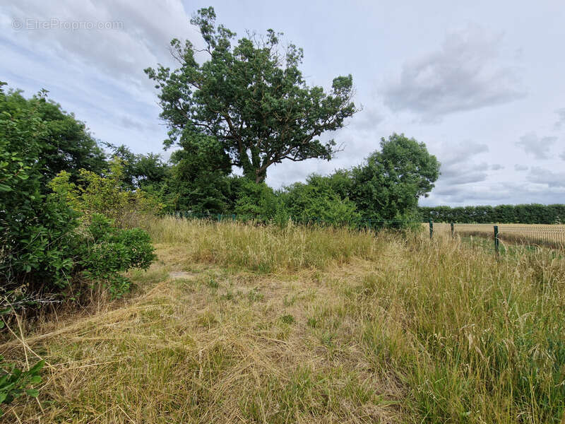 Maison à vendre 3 pièces SAINT CREPIN (17) - photo 10