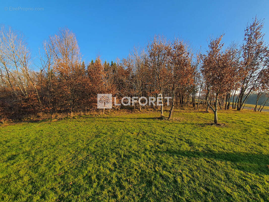 Terrain à MONTDURAUSSE