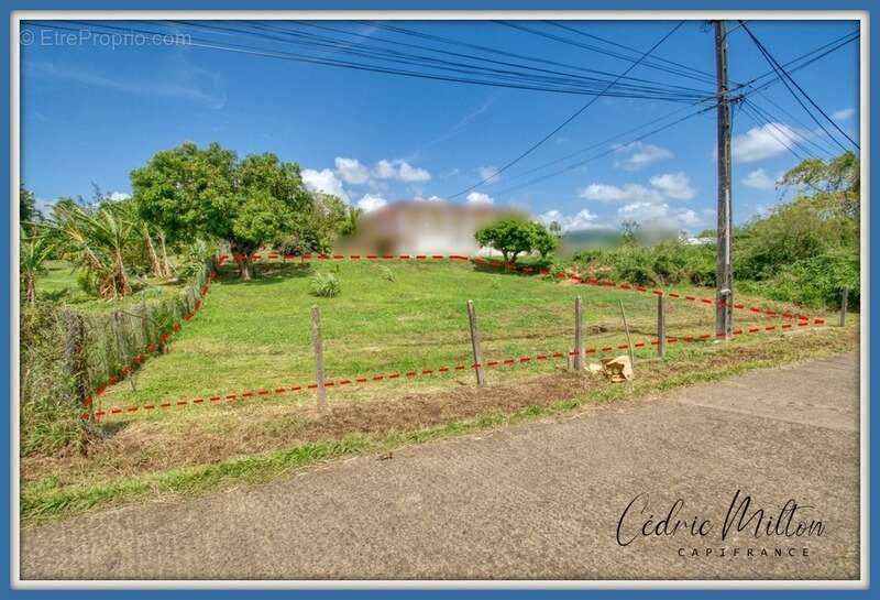 Terrain à LE LAMENTIN