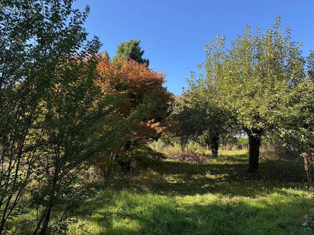 Photo 8 - Maison à ORADOUR-SUR-VAYRES
