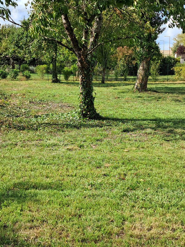 Terrain à TROYES