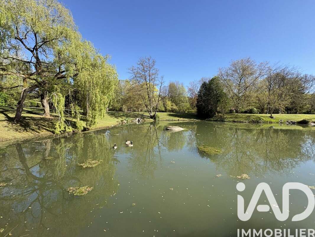 Photo 8 - Maison à SAINT-FARGEAU-PONTHIERRY