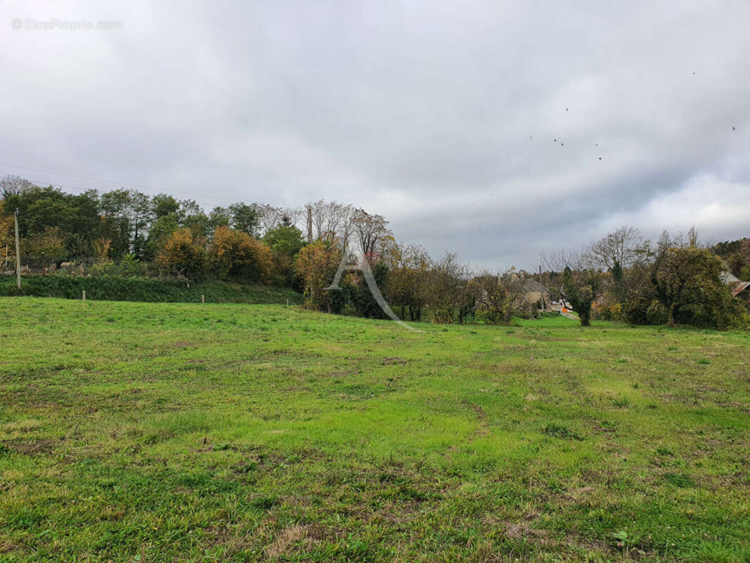 Terrain à CHATEAUVIEUX