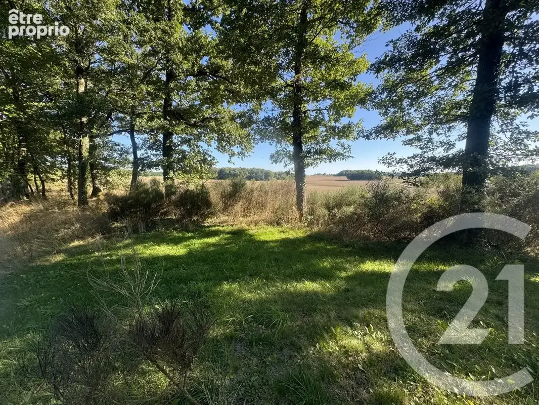 Maison 219 m² à Etais-La-Sauvin  - photo 18