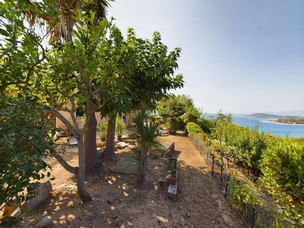 Maison à PIETROSELLA