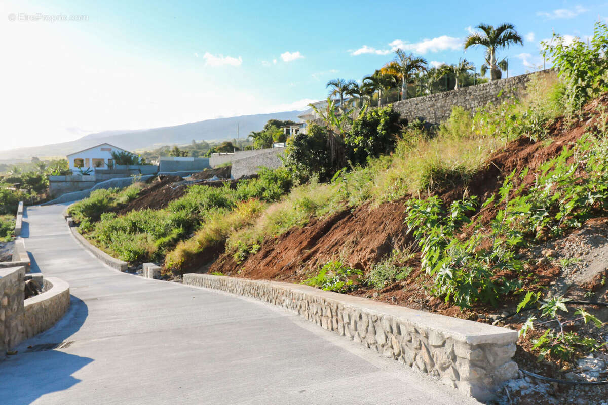 Photo 3 - Terrain à SAINT-LOUIS