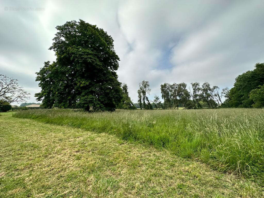 Maison à SAINT-DIZANT-DU-BOIS