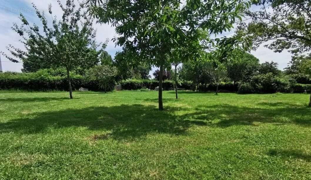 Terrain constructible le faulq - photo 2