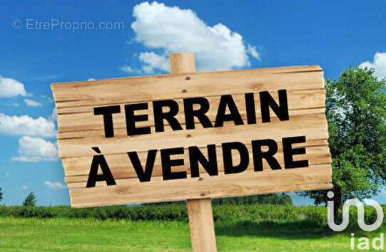 Terrain 4017 m² à Brains-Sur-Gee  - photo 4