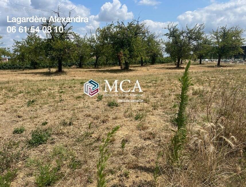Terrain à LEVIGNAC-DE-GUYENNE