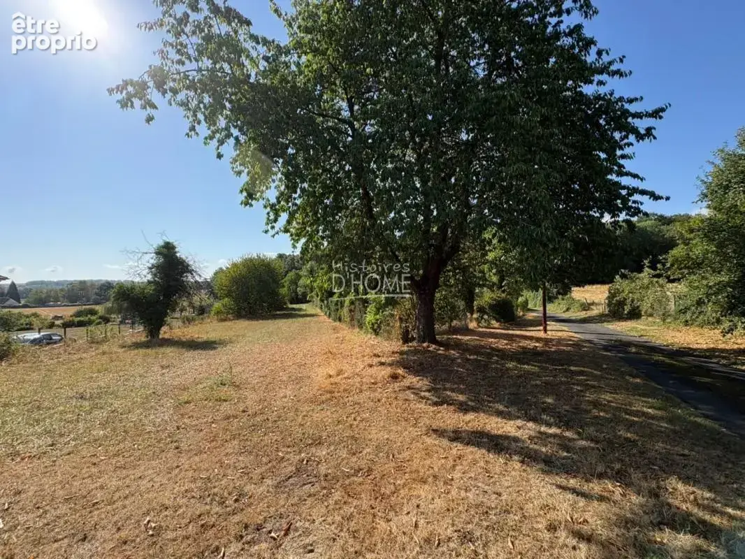 Terrain à LA FERTE-GAUCHER