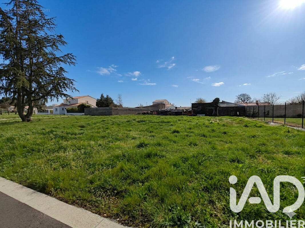 Photo 1 - Terrain à BEAUVOIR-SUR-MER